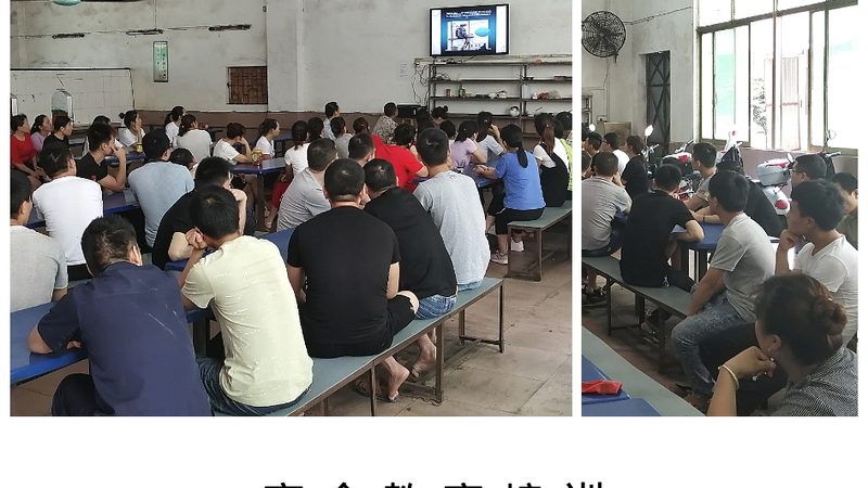 教师资格证培训协议班与普通班：有何区别？**